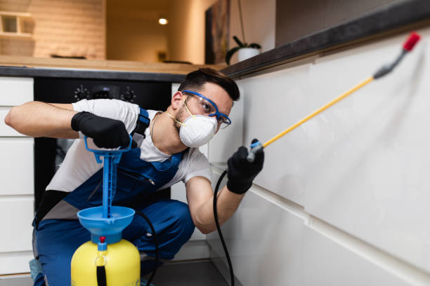 Best Pest Control for Restaurants  in Springfield, KY