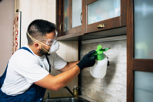 Pest Control for Restaurants in Springfield, KY