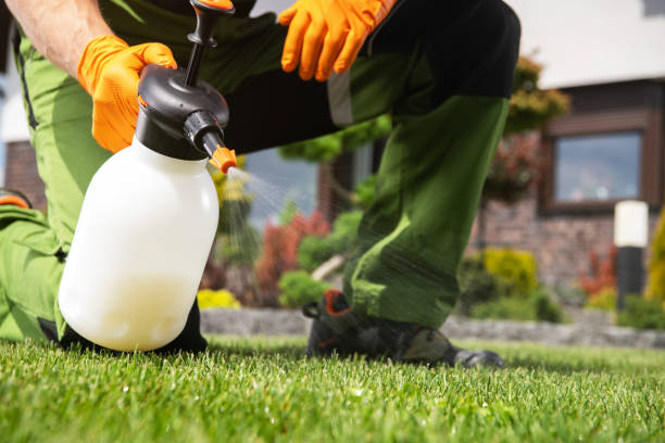 Best Pest Control Near Me in Springfield, KY