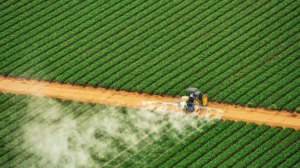 Pest Control Cost in Springfield, KY