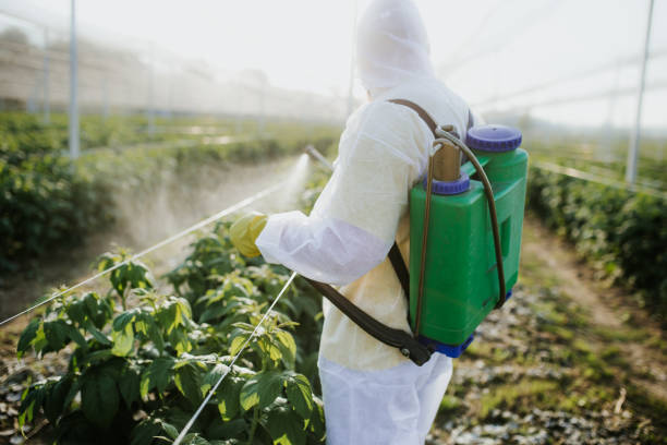 Best Pest Inspection Near Me  in Springfield, KY